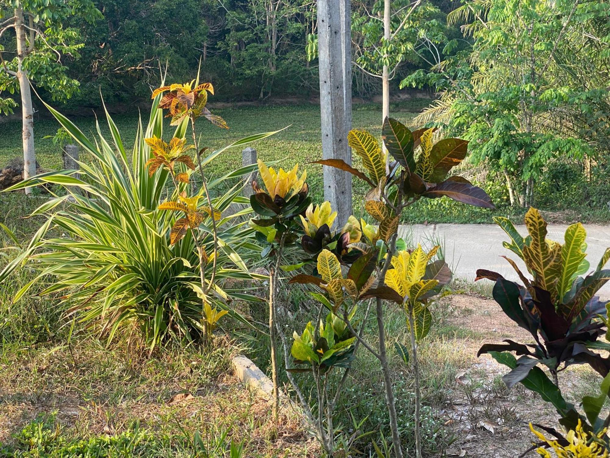 Kanitta Homestay Kohyaonoi Ban Bang Chak  Exterior photo
